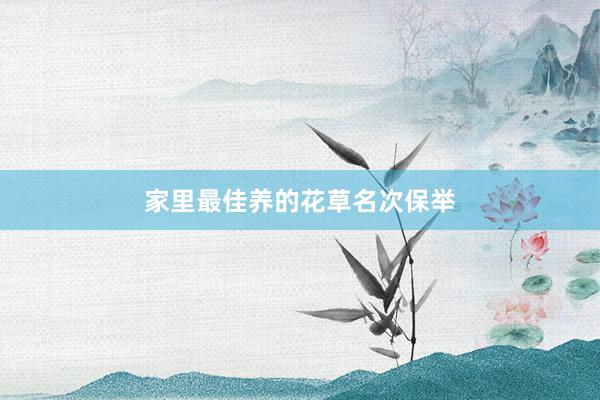 家里最佳养的花草名次保举