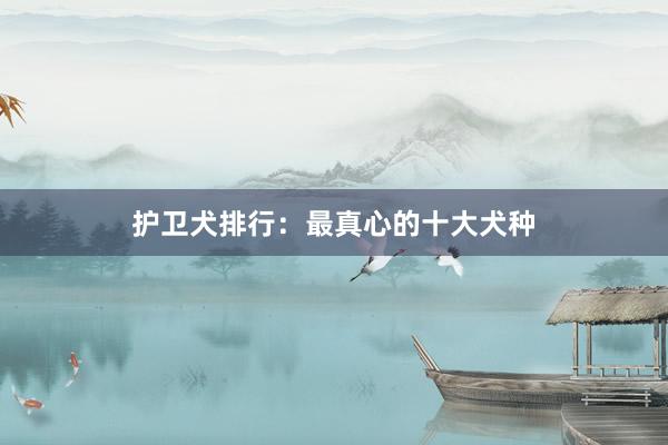 护卫犬排行：最真心的十大犬种